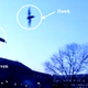 Image for article titled The Robo Raven Is So Lifelike, It Fools Birdbrains